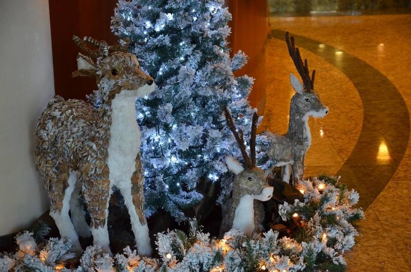 Hotel Savoy Beach Bibione