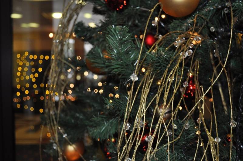 Hotel Savoy Beach Bibione